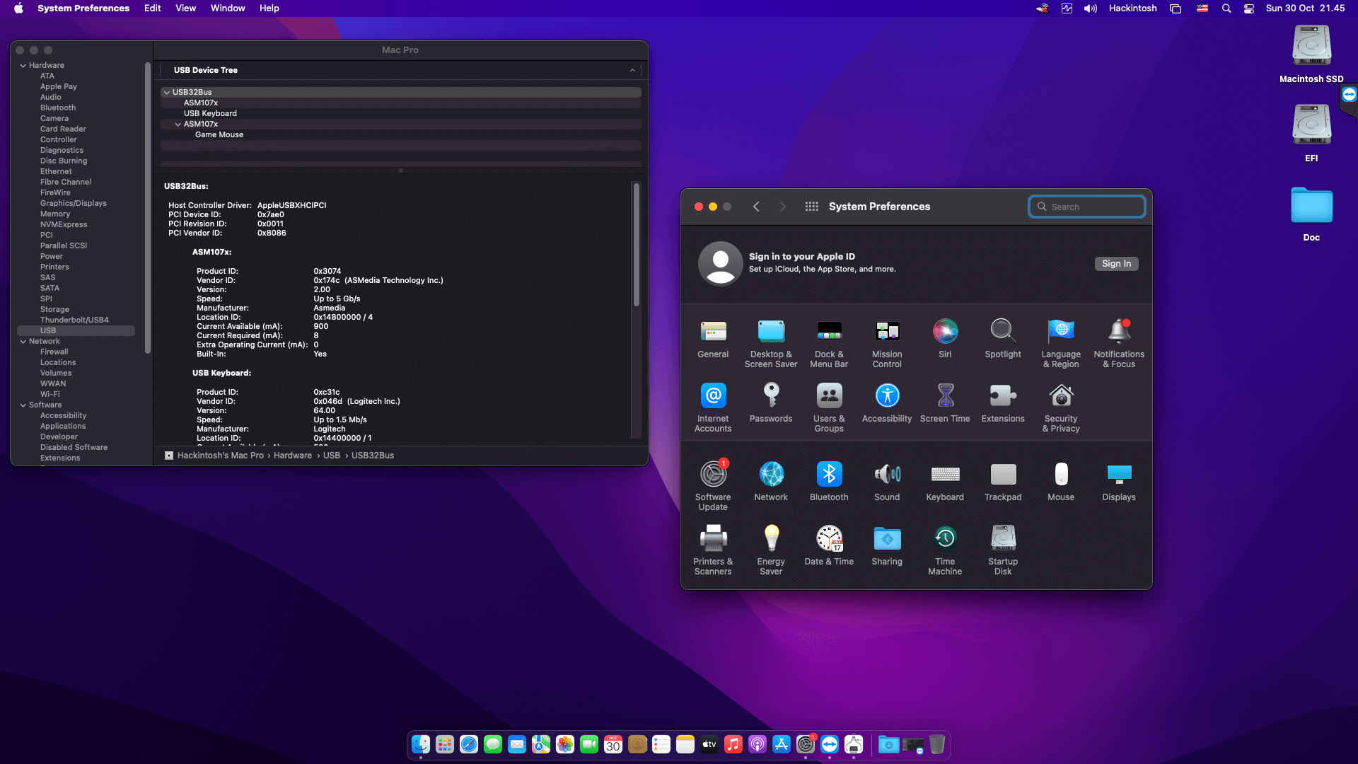 Asrock B660M PRO RS + Intel Core i7 12700 + Power Color RX 6600   OpenCore 3
